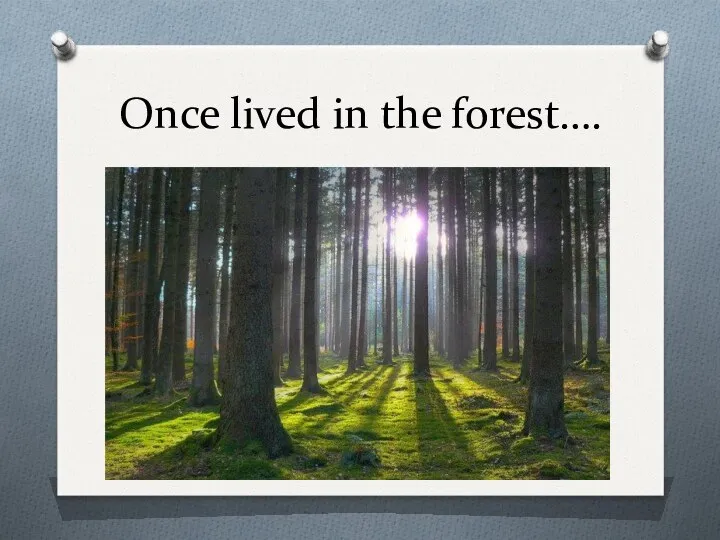 Once lived in the forest….