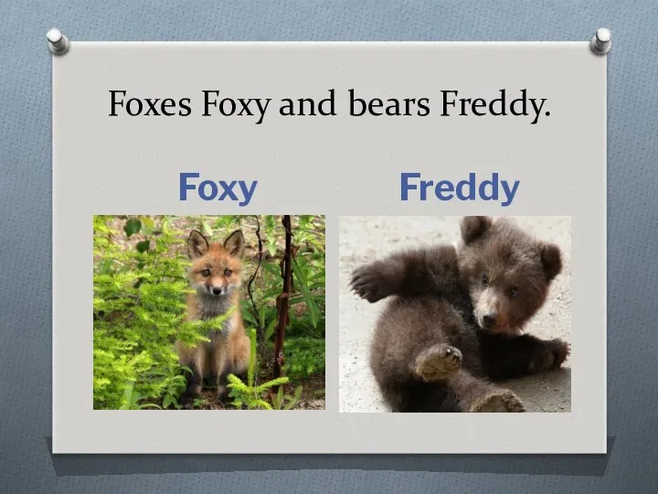 Foxes Foxy and bears Freddy. Foxy Freddy