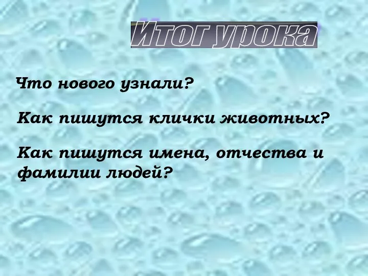 Итог урока Что нового узнали? Как пишутся клички животных? Как пишутся имена, отчества и фамилии людей?