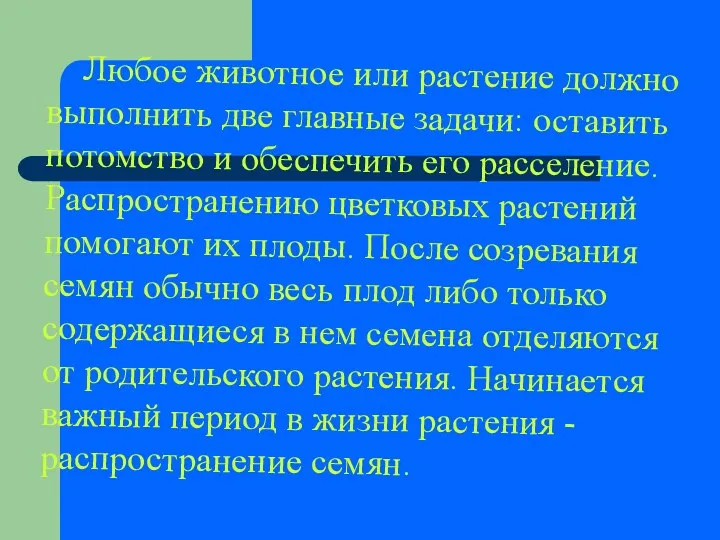 Любое животное или растение должно выполнить две главные задачи: оставить потомство и обеспечить