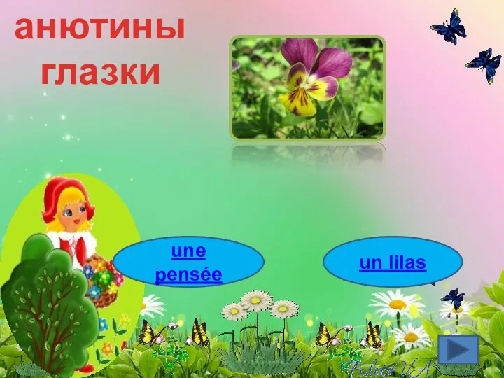 анютины глазки une pensée un lilas