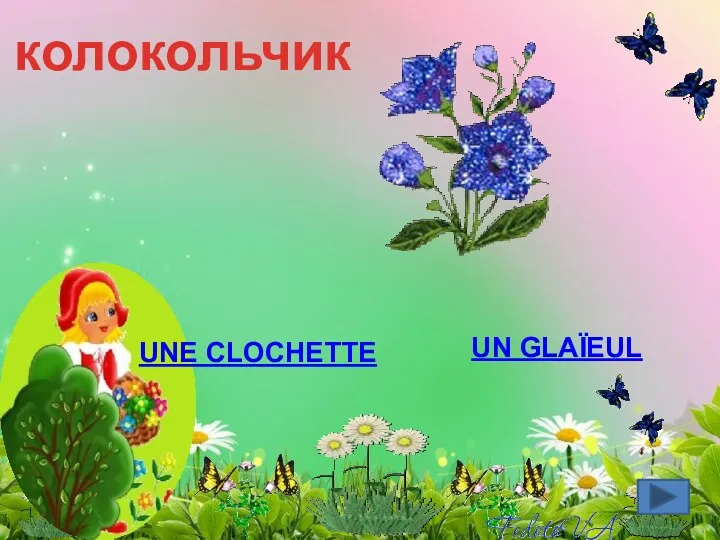 колокольчик Une clochette Un glaïeul