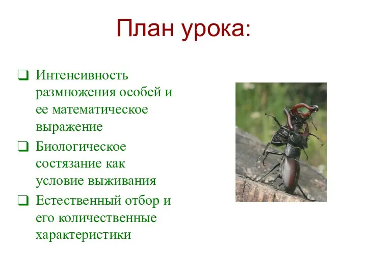 План урока: Интенсивность размножения особей и ее математическое выражение Биологическое