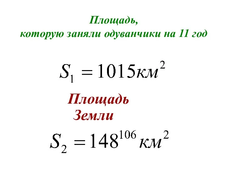 Площадь Земли Площадь, которую заняли одуванчики на 11 год