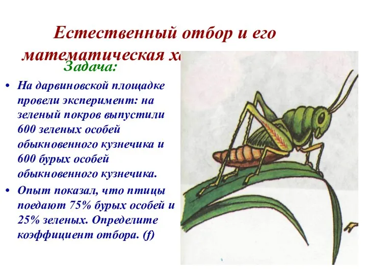 Естественный отбор и его математическая характеристика Задача: На дарвиновской площадке