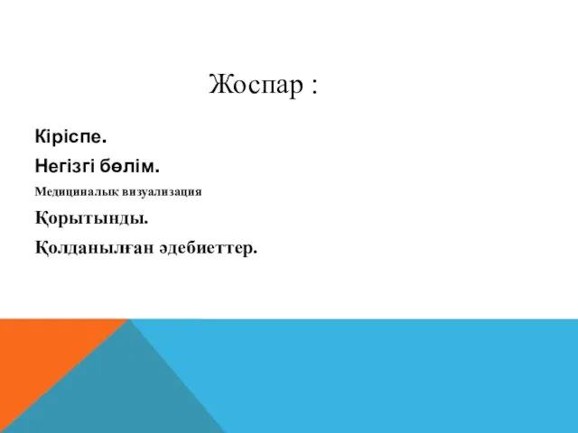 Кіріспе. Негізгі бөлім. Медициналық визуализация Қорытынды. Қолданылған әдебиеттер. Жоспар :