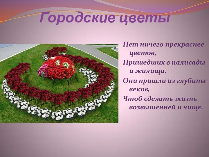 Городские цветы Нет ничего прекраснее цветов, Пришедших в палисады и