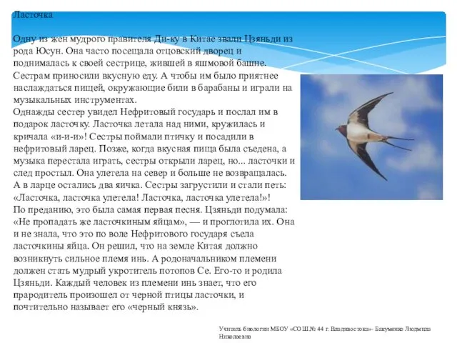 Ласточка Одну из жен мудрого правителя Ди-ку в Китае звали