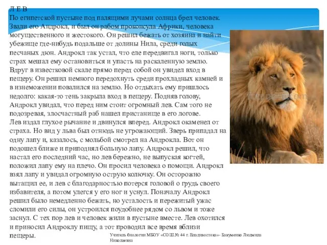 Л Е В По египетской пустыне под палящими лучами солнца