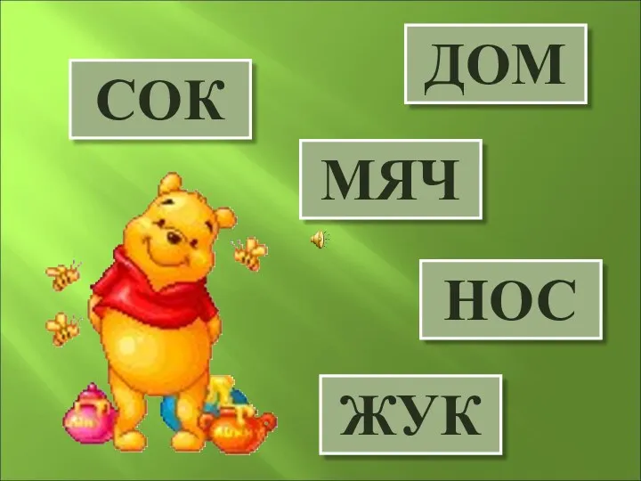 ЖУК СОК МЯЧ ДОМ НОС