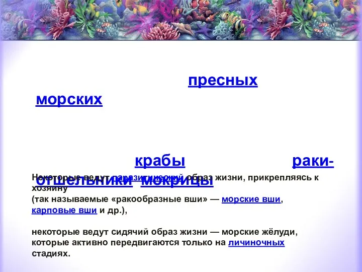 Это преимущественно водные обитатели пресных и морских водоёмов, хотя некоторые