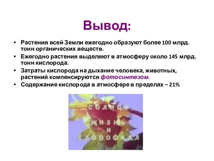 Вывод: Растения всей Земли ежегодно образуют более 100 млрд. тонн органических веществ. Ежегодно