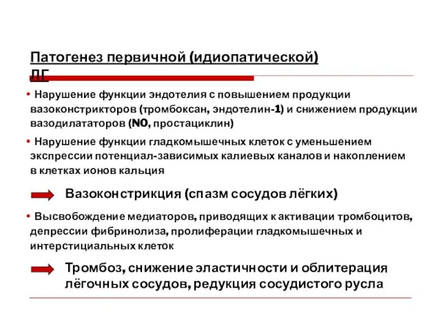 Патогенез первичной (идиопатической) ЛГ Нарушение функции эндотелия с повышением продукции