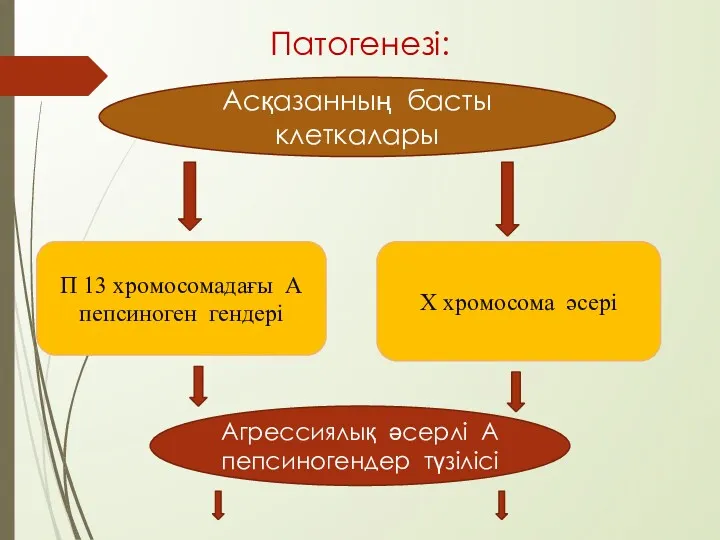 Патогенезі: Асқазанның басты клеткалары П 13 хромосомадағы А пепсиноген гендері