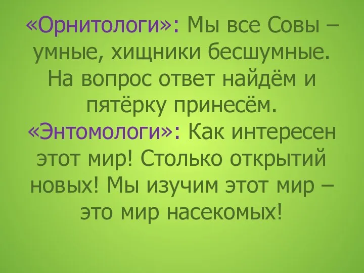 «Орнитологи»: Мы все Совы – умные, хищники бесшумные. На вопрос