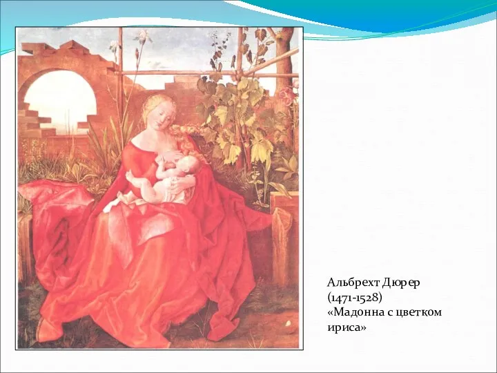 Альбрехт Дюрер (1471-1528) «Мадонна с цветком ириса»