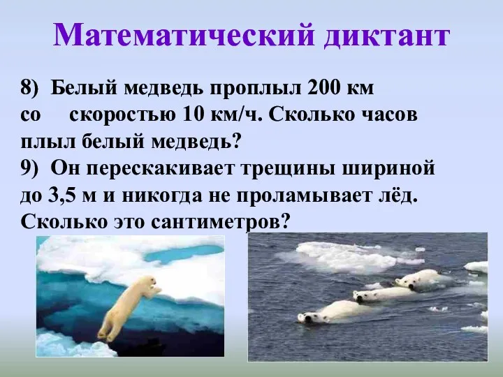 Математический диктант 8) Белый медведь проплыл 200 км со скоростью