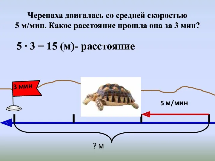 Черепаха двигалась со средней скоростью 5 м/мин. Какое расстояние прошла