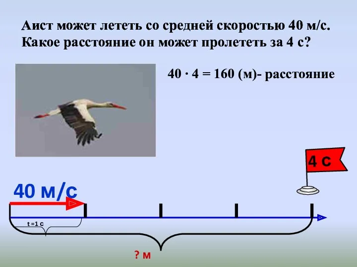 Аист может лететь со средней скоростью 40 м/с. Какое расстояние