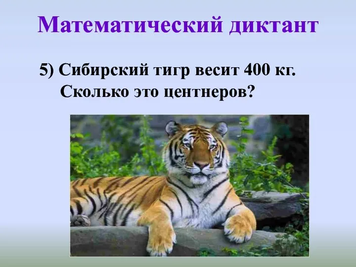 Математический диктант 5) Сибирский тигр весит 400 кг. Сколько это центнеров?