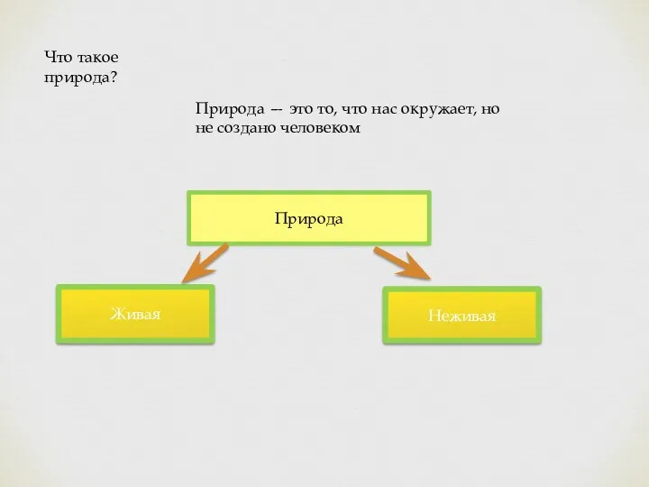 Что такое природа? Природа — это то, что нас окружает, но не создано