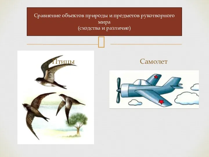 Сравнение объектов природы и предметов рукотворного мира (сходства и различие) Птицы Самолет