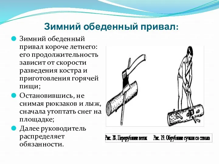 Зимний обеденный привал: Зимний обеденный привал короче летнего: его продолжительность