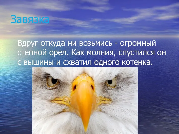 Завязка Вдруг откуда ни возьмись - огромный степной орел. Как молния, спустился он