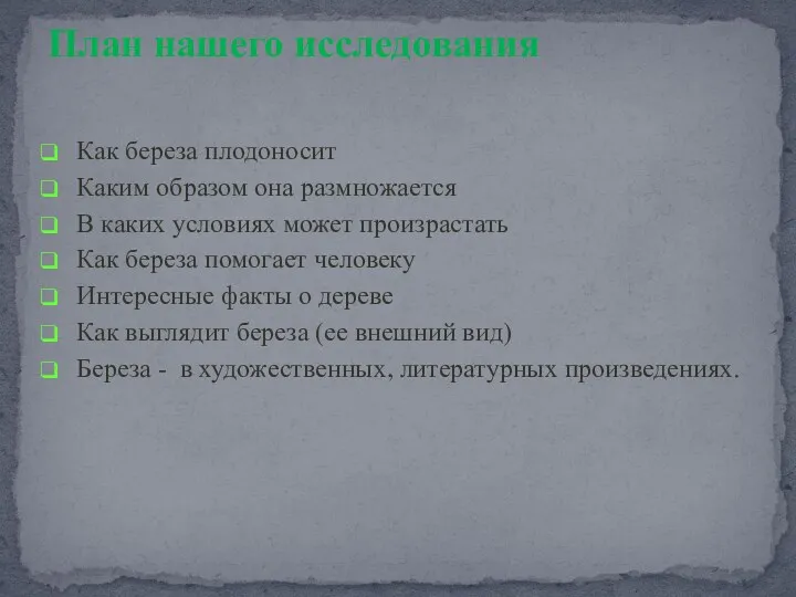 Как береза плодоносит Каким образом она размножается В каких условиях