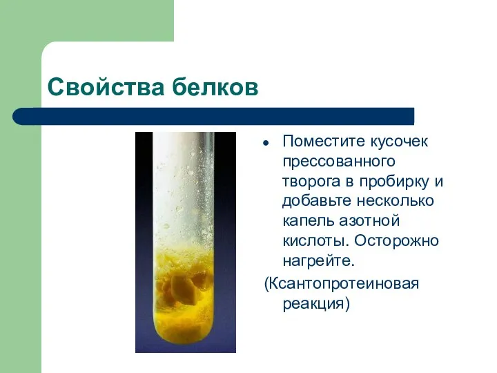 Свойства белков Поместите кусочек прессованного творога в пробирку и добавьте
