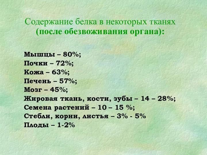 Содержание белка в некоторых тканях (после обезвоживания органа): Мышцы –