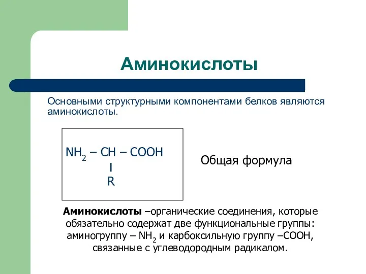 Аминокислоты Основными структурными компонентами белков являются аминокислоты. Аминокислоты –органические соединения,