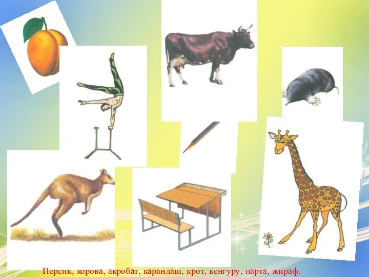 Персик, корова, акробат, карандаш, крот, кенгуру, парта, жираф.