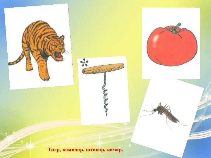 Тигр, помидор, штопор, комар.