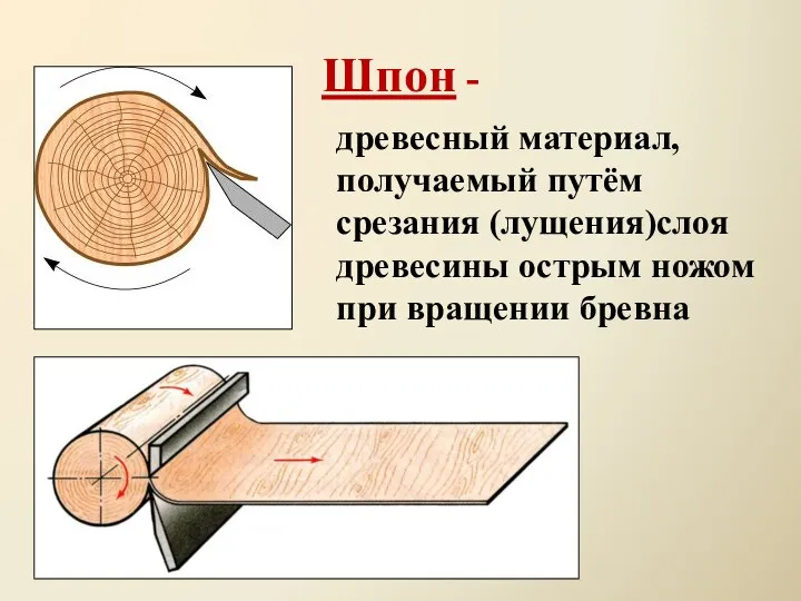 Шпон - древесный материал, получаемый путём срезания (лущения)слоя древесины острым ножом при вращении бревна