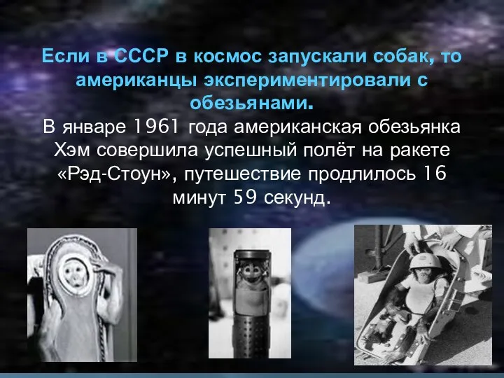 Если в СССР в космос запускали собак, то американцы экспериментировали с обезьянами. В