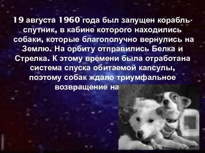 19 августа 1960 года был запущен корабль-спутник, в кабине которого находились собаки, которые