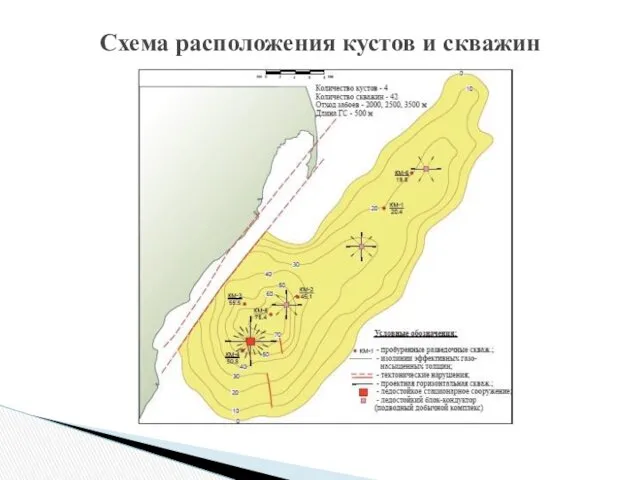 Схема расположения кустов и скважин