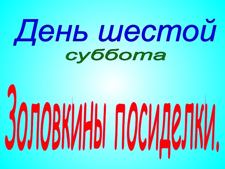 Золовкины посиделки. День шестой суббота