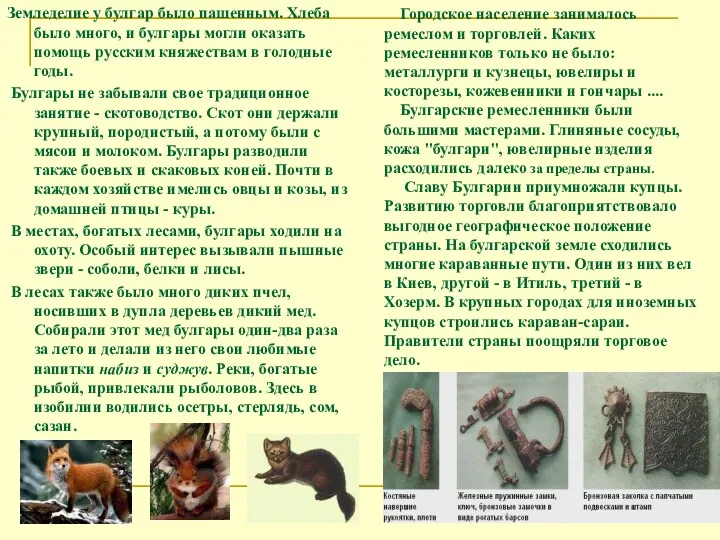 Земледелие у булгар было пашенным. Хлеба было много, и булгары