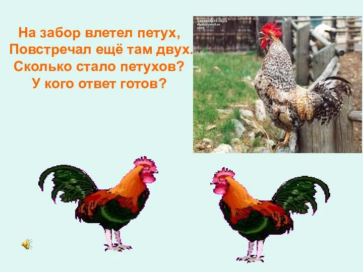 На забор влетел петух, Повстречал ещё там двух. Сколько стало петухов? У кого ответ готов?