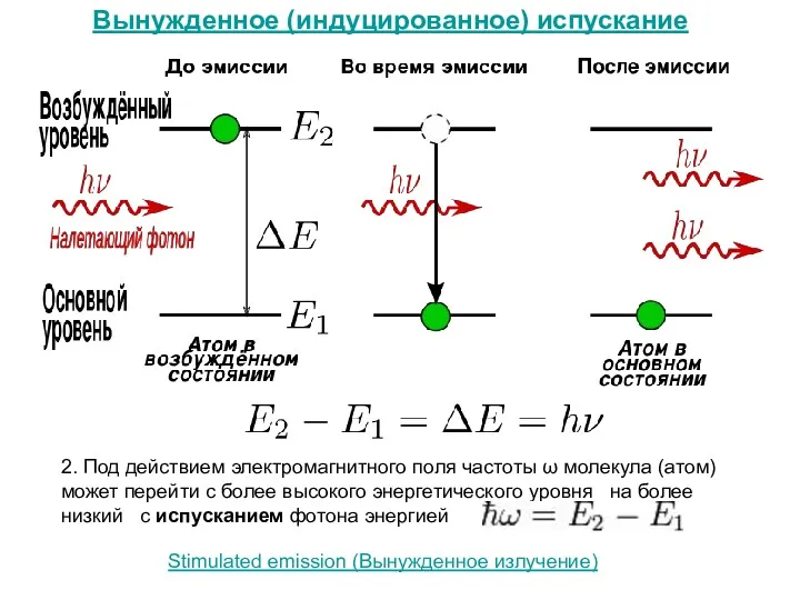 2. Под действием электромагнитного поля частоты ω молекула (атом) может перейти с более