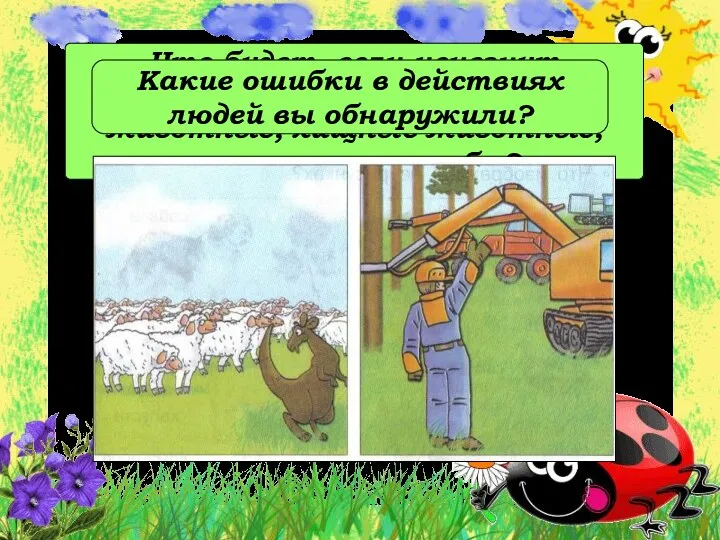 Что будет, если исчезнут растения, растительноядные животные, хищные животные, почвенные