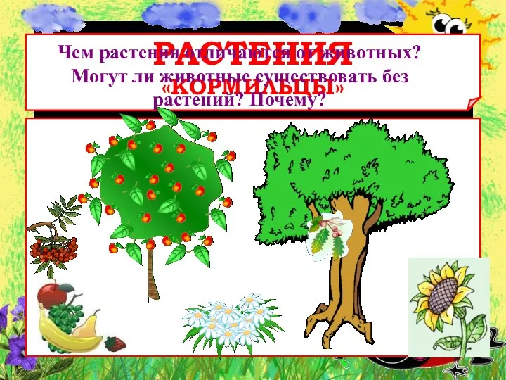 РАСТЕНИЯ «КОРМИЛЬЦЫ» Чем растения отличаются от животных? Могут ли животные существовать без растений? Почему?