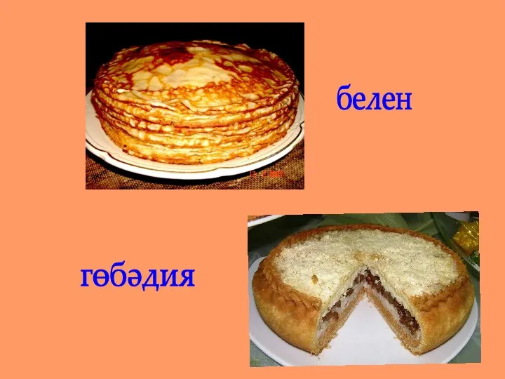 белен гөбәдия