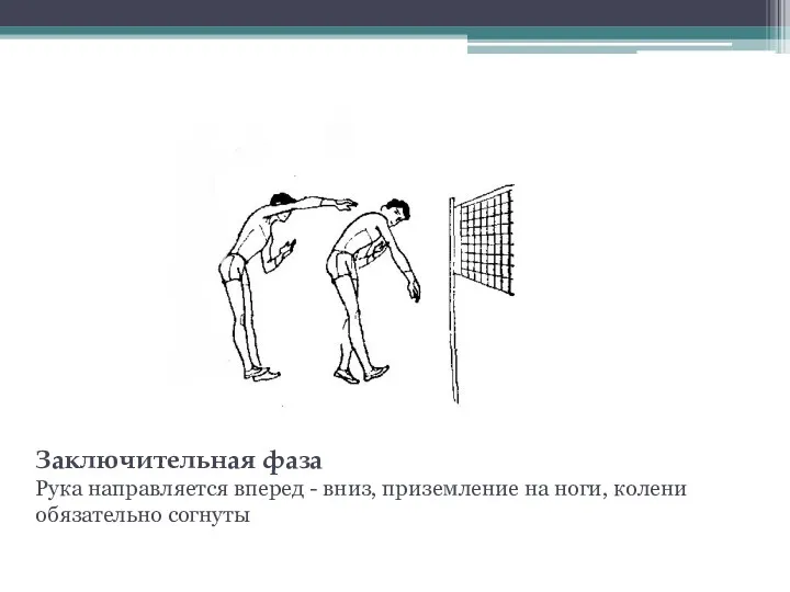 Заключительная фаза Рука направляется вперед - вниз, приземление на ноги, колени обязательно согнуты