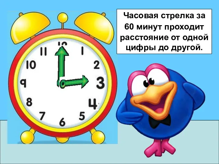 Часовая стрелка за 60 минут проходит расстояние от одной цифры до другой.