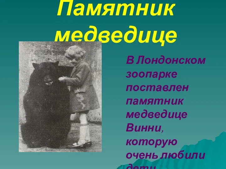 Памятник медведице В Лондонском зоопарке поставлен памятник медведице Винни, которую очень любили дети.