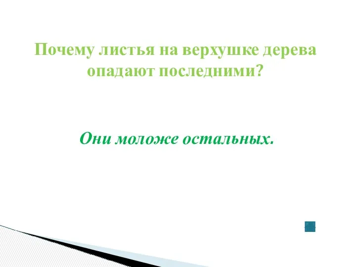 Почему листья на верхушке дерева опадают последними? Они моложе остальных.