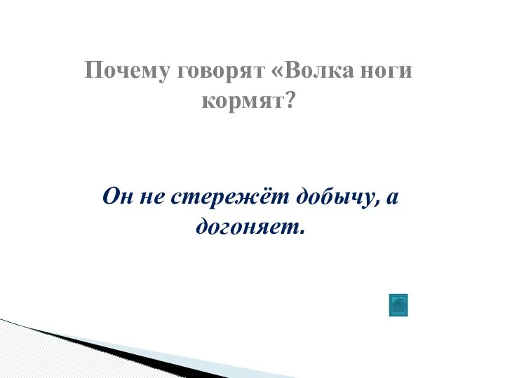 Почему говорят «Волка ноги кормят? Он не стережёт добычу, а догоняет.